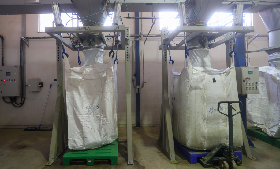 Tradicional erva-mate de São Mateus do Sul se reinventa e ganha novos mercados