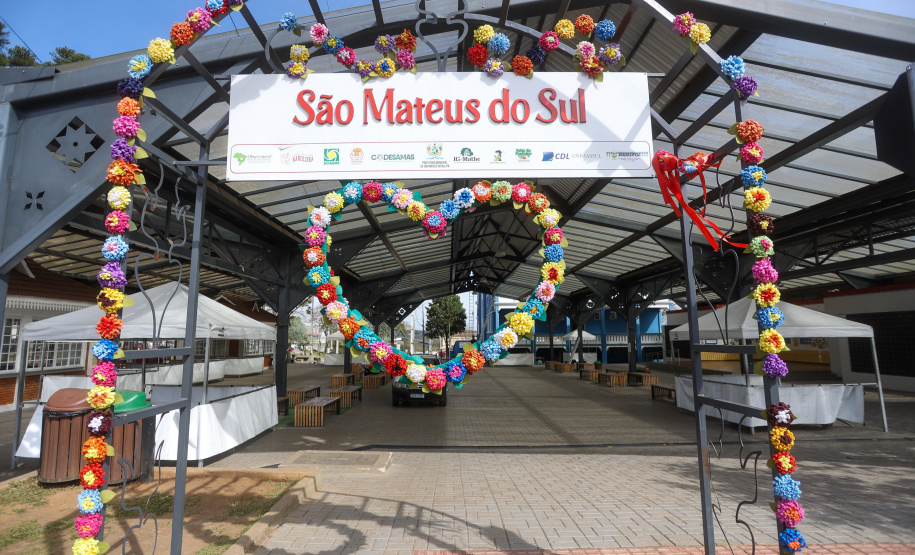 Tradicional erva-mate de São Mateus do Sul se reinventa e ganha novos mercados
