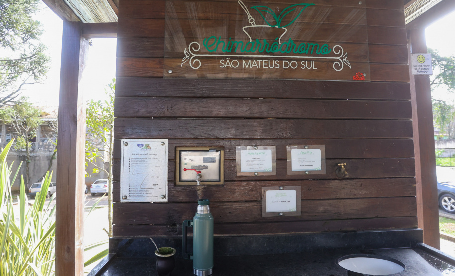 Tradicional erva-mate de São Mateus do Sul se reinventa e ganha novos mercados