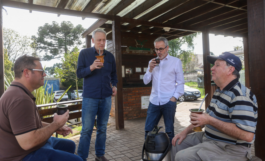 Tradicional erva-mate de São Mateus do Sul se reinventa e ganha novos mercados