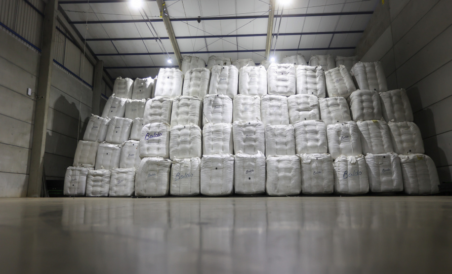 Tradicional erva-mate de São Mateus do Sul se reinventa e ganha novos mercados