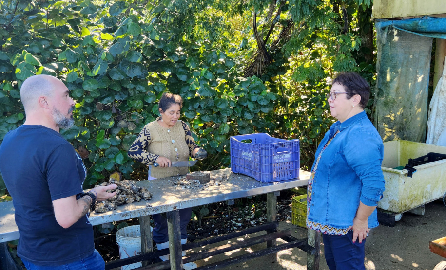Estado prepara ações de inclusão social para cidadãos com foco na cidadania