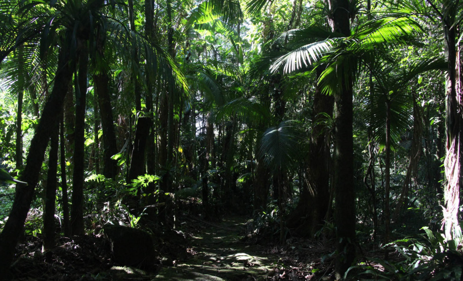Por precaução em razão da chuva, três parques da região de Curitiba ficarão fechados neste fim de semana.