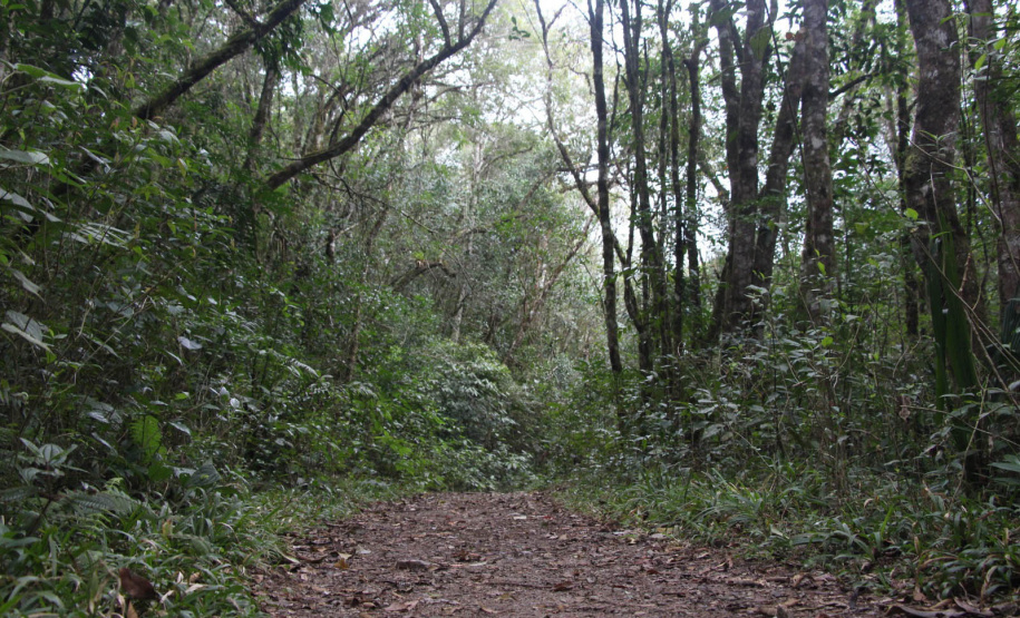 Por precaução em razão da chuva, três parques da região de Curitiba ficarão fechados neste fim de semana.