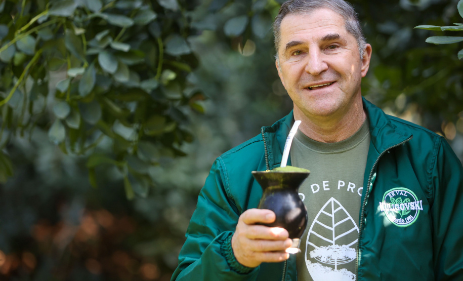 Tradicional erva-mate de São Mateus do Sul se reinventa e ganha novos mercados