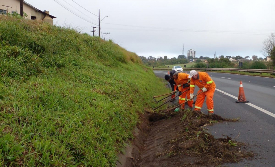 Conservação da faixa de domínio das rodovias estaduais prevê investimento de R$ 768,3 mi