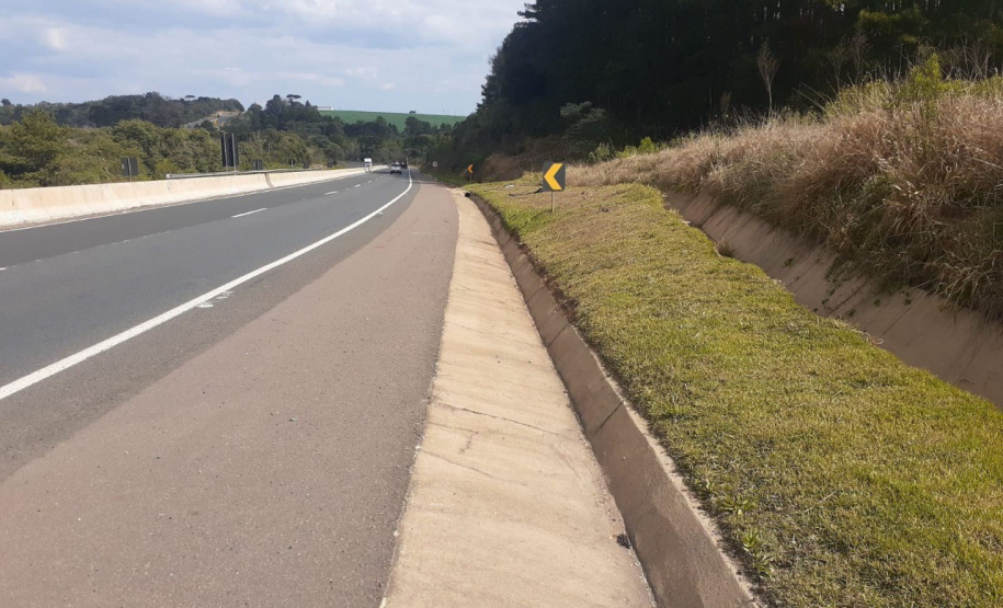 Conservação da faixa de domínio das rodovias estaduais prevê investimento de R$ 768,3 mi