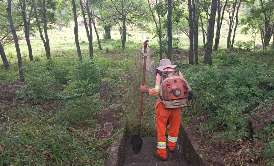 Conservação da faixa de domínio das rodovias estaduais prevê investimento de R$ 768,3 mi