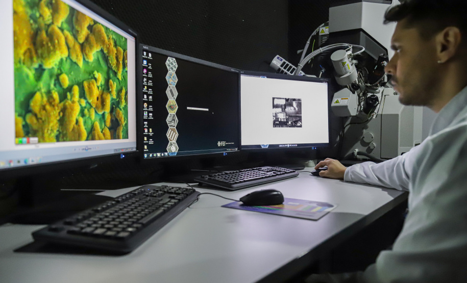 Ranking aponta pesquisadores das universidades estaduais do Paraná entre os mais influentes do mundo