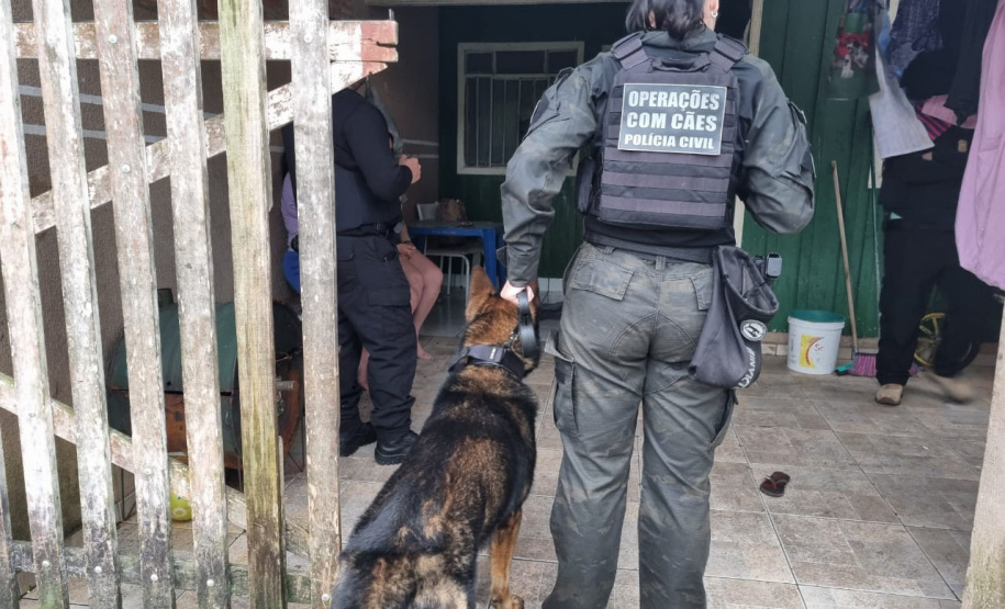 PCPR e PMPR prendem 20 pessoas ligadas ao tráfico de drogas no Centro de Curitiba