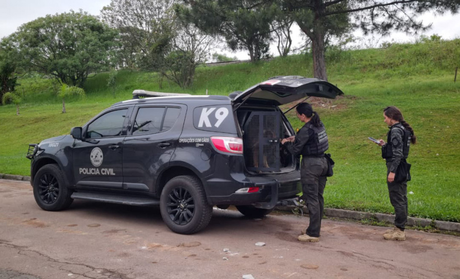 PCPR e PMPR prendem 20 pessoas ligadas ao tráfico de drogas no Centro de Curitiba