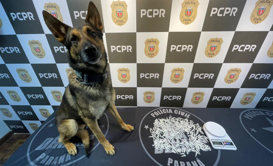 PCPR e PMPR prendem 20 pessoas ligadas ao tráfico de drogas no Centro de Curitiba