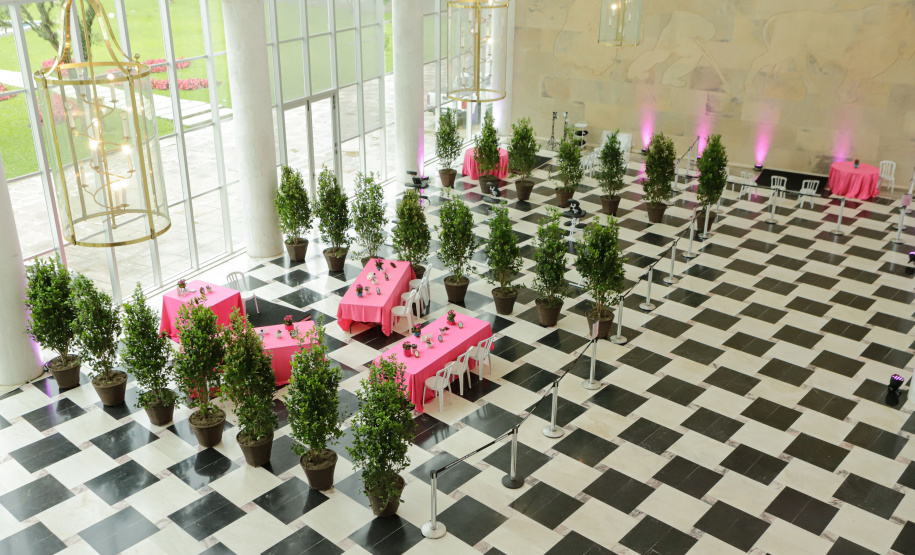 Primeira Dama e Darci