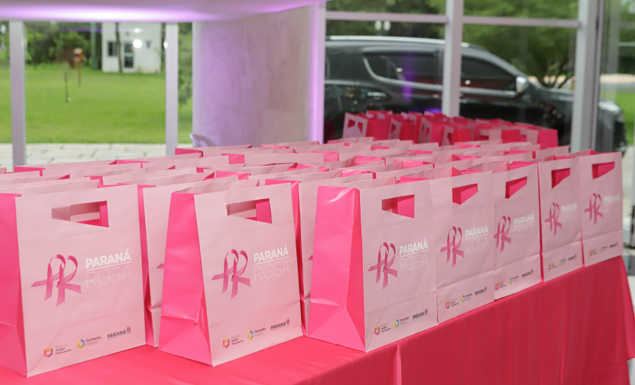 Primeira Dama e Darci