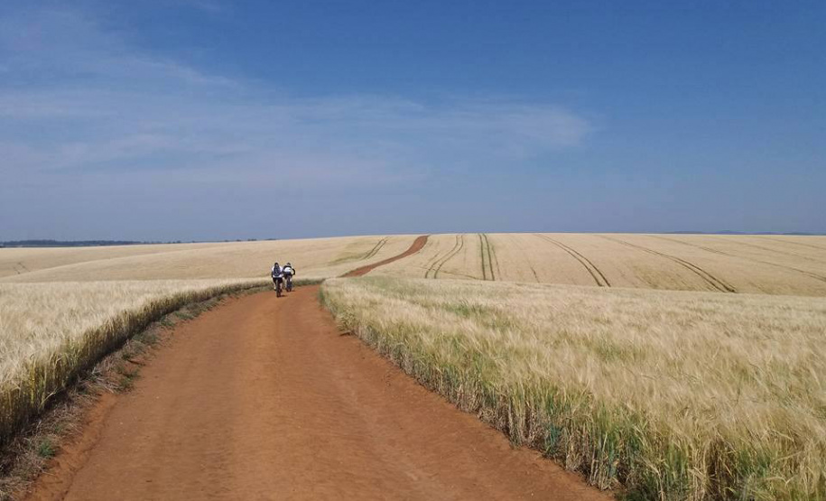 Calendário turístico de novembro