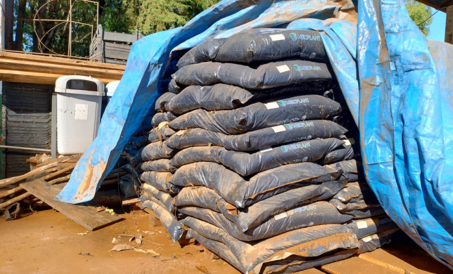 Danificado pela chuva, o viveiro do IAT em Pitanga perdeu cerca de 60% da produção de mudas.