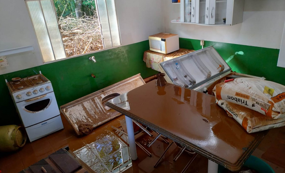 Danificado pela chuva, o viveiro do IAT em Pitanga perdeu cerca de 60% da produção de mudas.