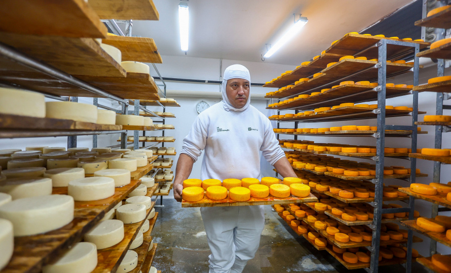 Indicação geográfica impulsiona queijos de Witmarsum nos mercados nacional e internacional
