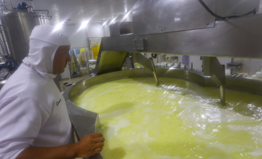 Indicação geográfica impulsiona queijos de Witmarsum nos mercados nacional e internacional