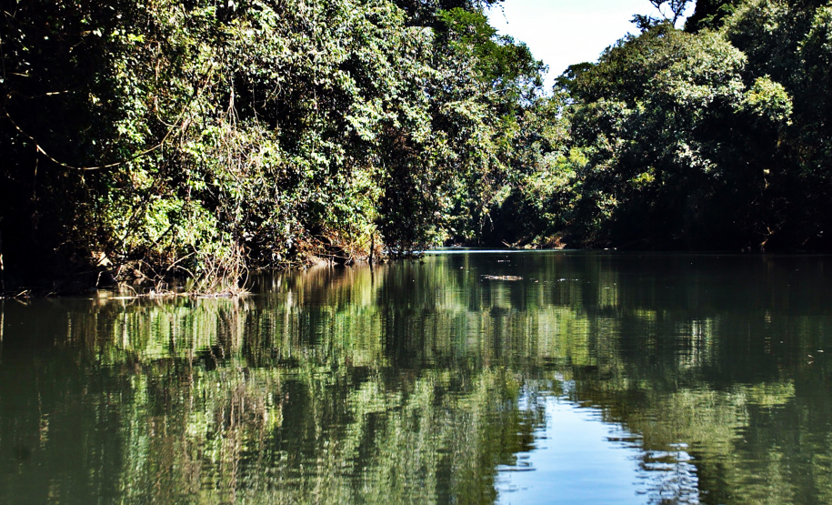 O Rio Guarani integra o CBH Baixo Iguaçu e passa pelos municípios de Três Barras do Paraná, Quedas do Iguaçu, Catanduvas, Espigão Alto do Iguaçu, Guaraniaçu e Nova Laranjeiras
