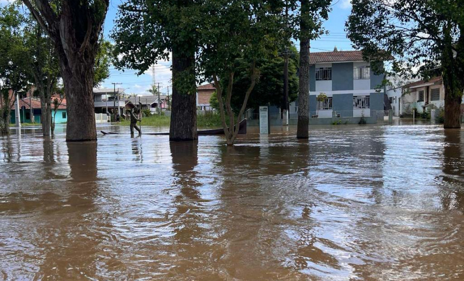 Cuidados contra a leptospirose devem ser reforçados com o tempo mais chuvoso
