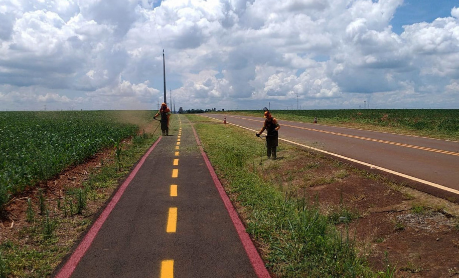 Conservação da faixa de domínio das rodovias estaduais prevê investimento de R$ 768,3 mi