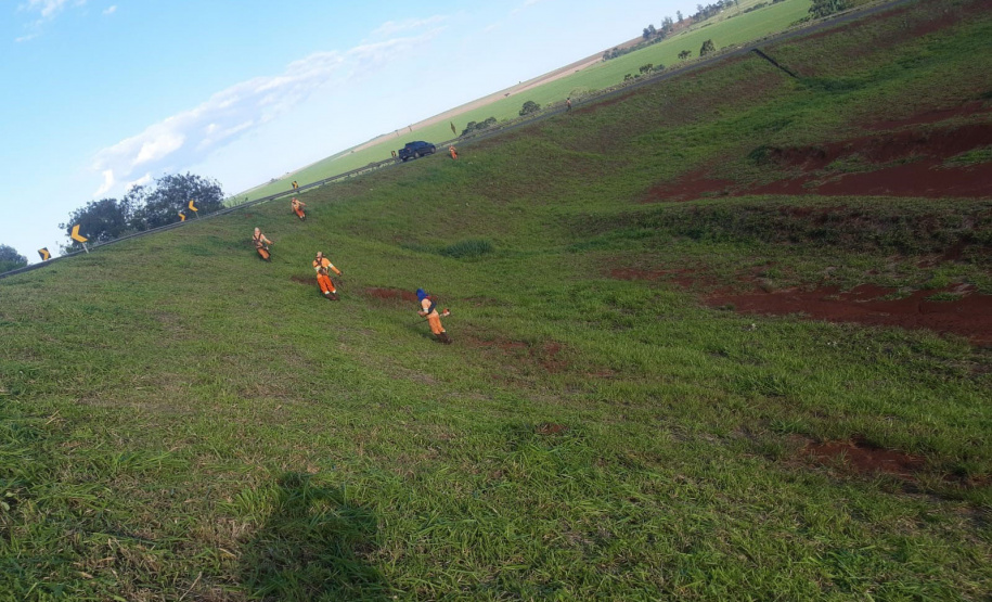 Conservação da faixa de domínio das rodovias estaduais prevê investimento de R$ 768,3 mi