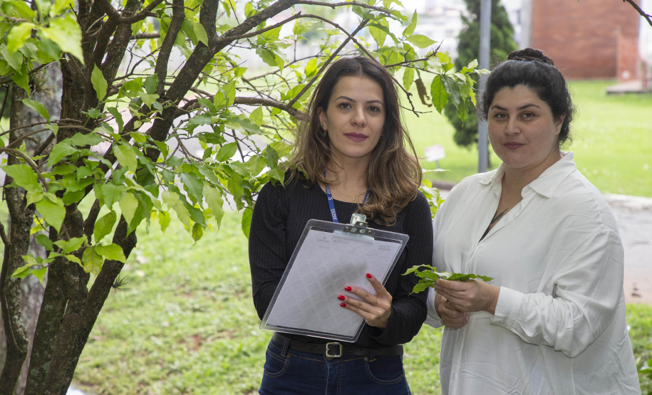 TECPAR OFERECE AO MERCADO VALIDAÇÃO DE INVENTÁRIOS DE CARBONO