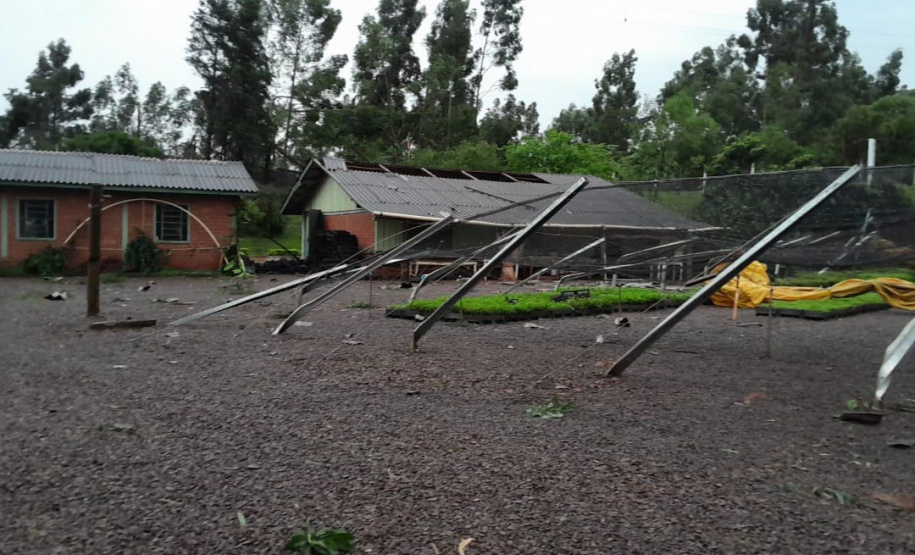 Tornado causou estragos no viveiro florestal de Cascavel, com o destelhamento de estruturas e o bloqueio do principal acesso ao local.