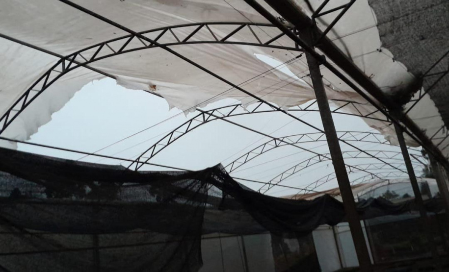 Tornado causou estragos no viveiro florestal de Cascavel, com o destelhamento de estruturas e o bloqueio do principal acesso ao local.