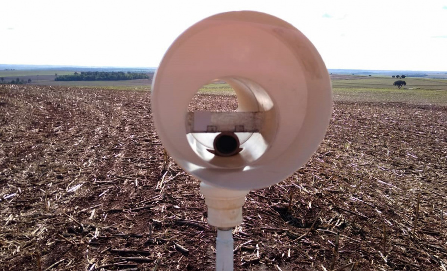 Alerta Ferrugem é retomado no Paraná