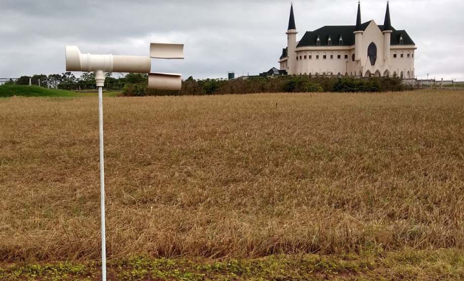 Alerta Ferrugem é retomado no Paraná