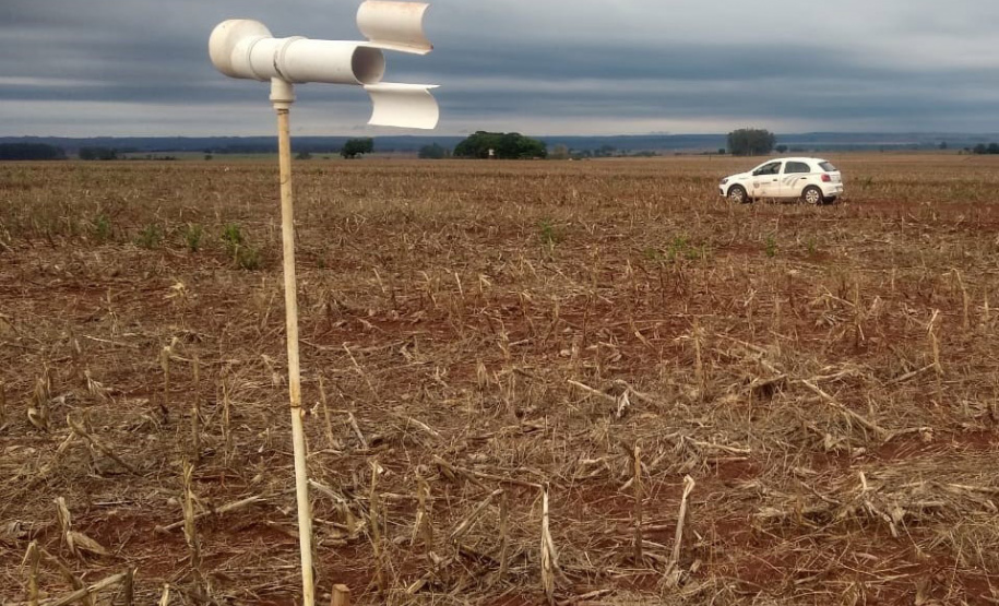 Alerta Ferrugem é retomado no Paraná
