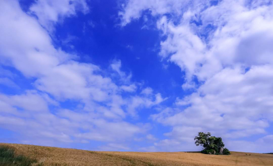 Caminhadas na Natureza IDR
