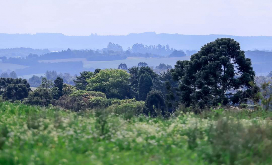 Caminhadas na Natureza IDR