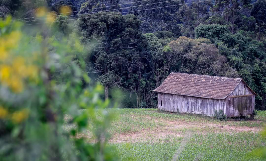 Caminhadas na Natureza IDR