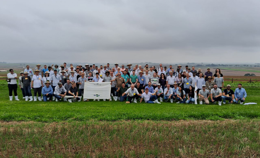 Adoção de boas práticas agrícolas comemora 10 anos de resultados no Paraná, com redução de mais de 50% no uso de inseticidas