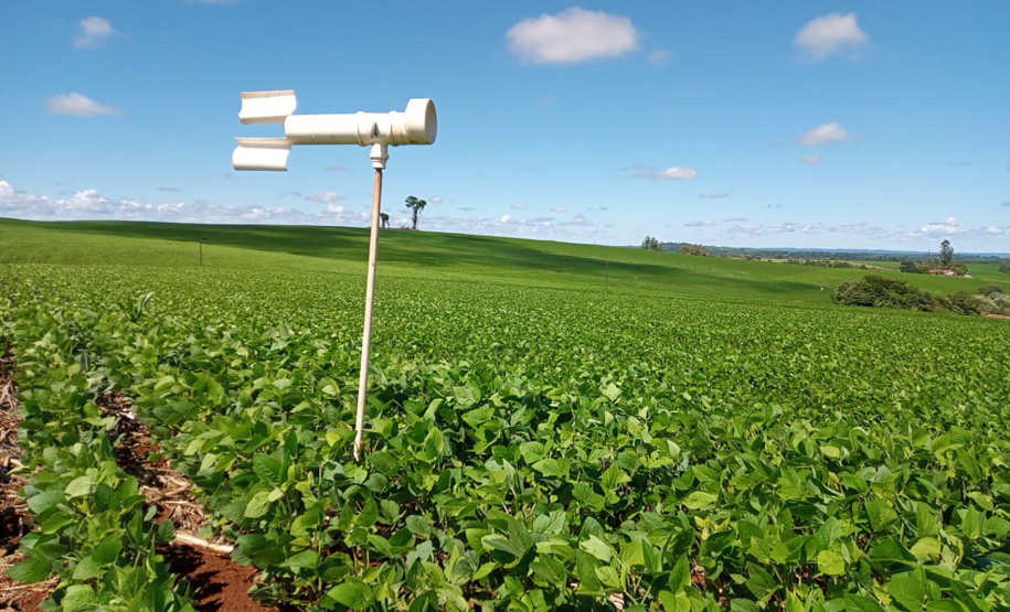 Adoção de boas práticas agrícolas comemora 10 anos de resultados no Paraná, com redução de mais de 50% no uso de inseticidas