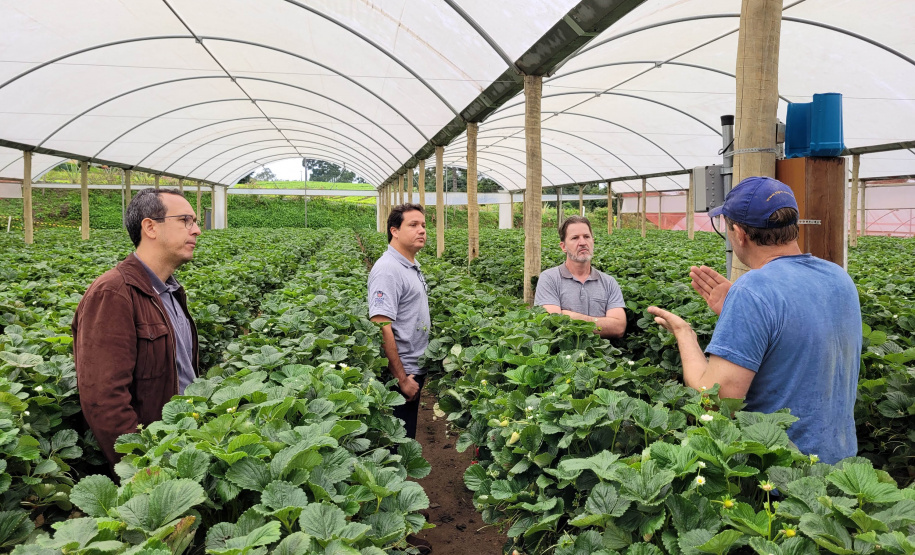 Projeto de pesquisa vai testar tecnologia para diminuir desperdício de água na irrigação