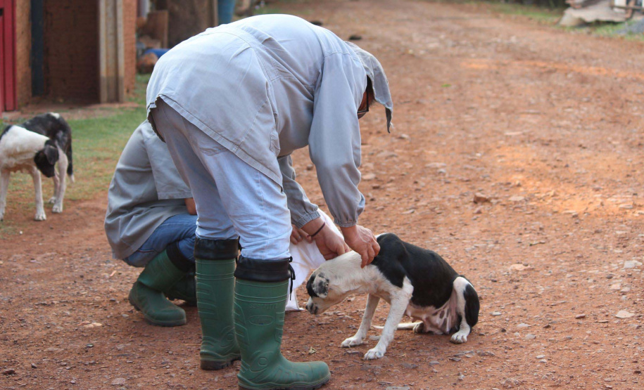 Expedição Pantanal: Lacen-PR participa de projeto inovador de monitoramento genômico