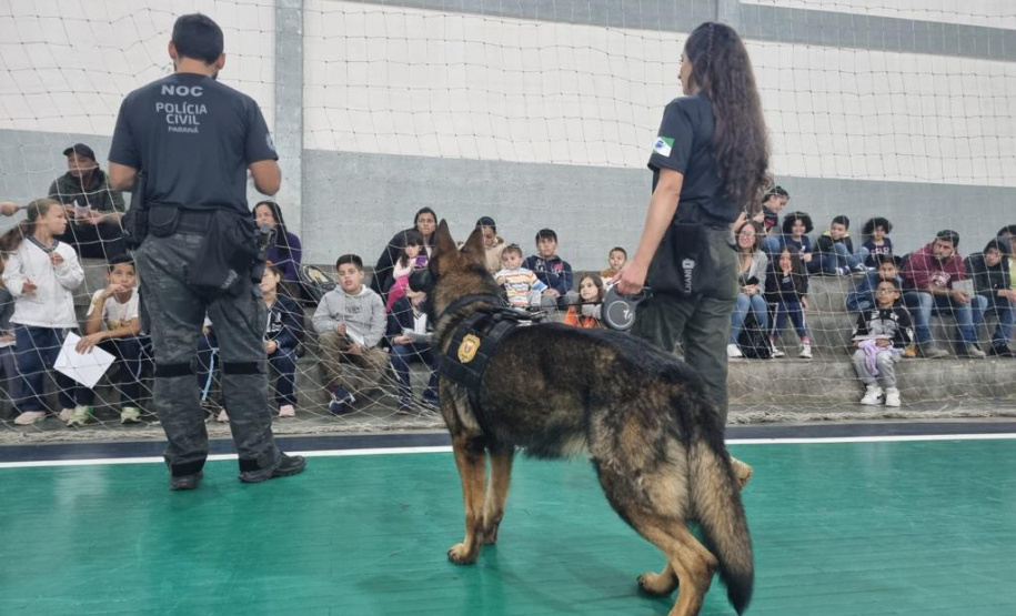 PCPR NA COMUNIDADE CASTRO