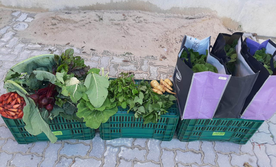 Cestas Solidárias: há 6 anos aproximando agricultores e consumidores