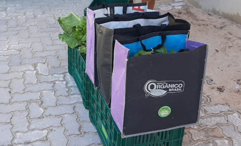 Cestas Solidárias: há 6 anos aproximando agricultores e consumidores