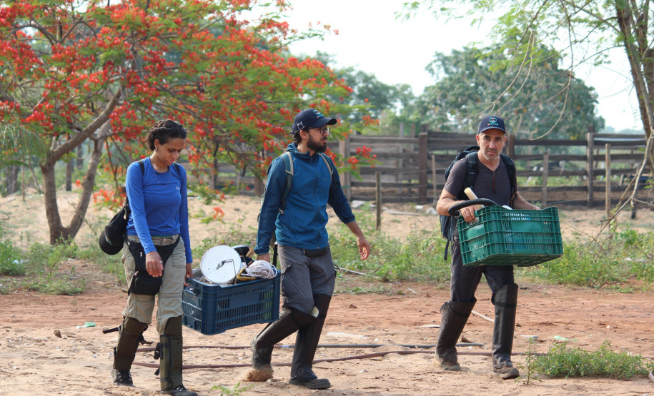 Lacen do Paraná participa de projeto inovador de monitoramento genômico em navio