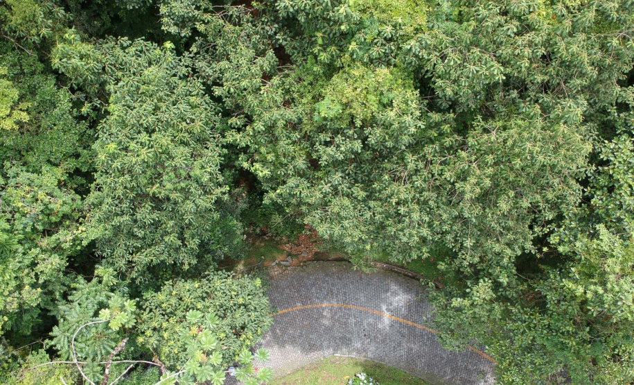 DER/PR vai mapear as áreas de risco da Estrada da Graciosa