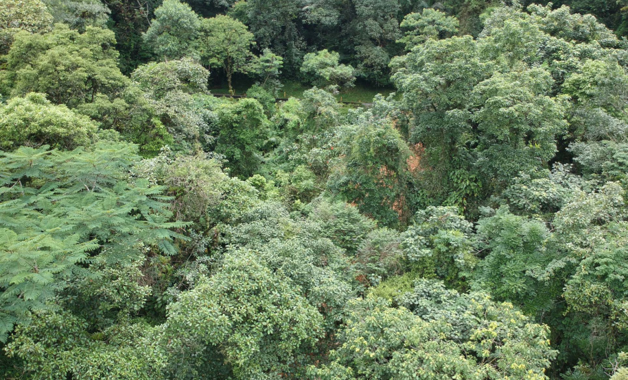 DER/PR vai mapear as áreas de risco da Estrada da Graciosa