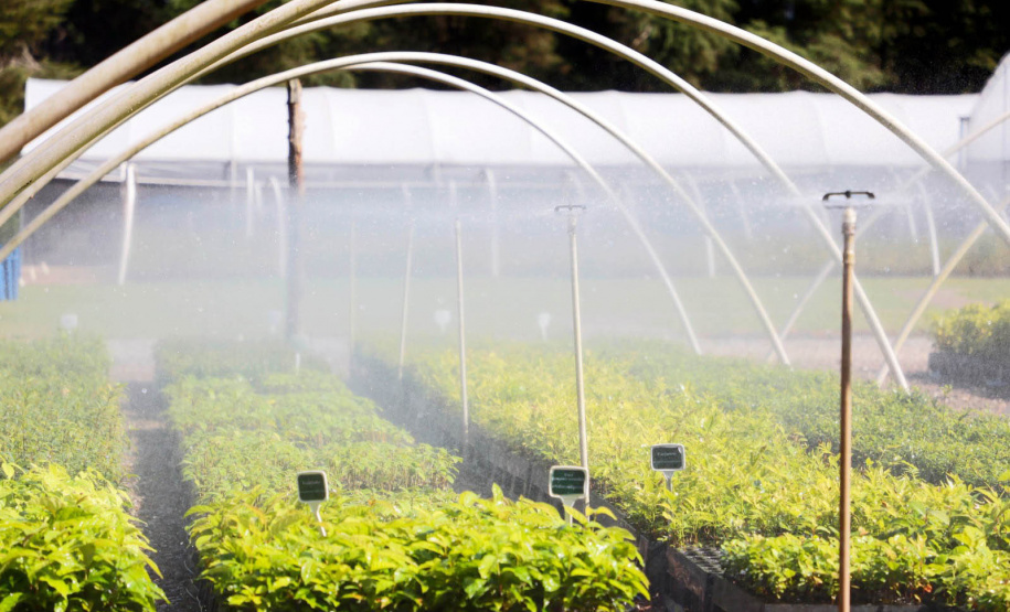 IAT é finalista de dois prêmios nacionais com o projeto Parques Paraná e o App Paraná Mais Verde