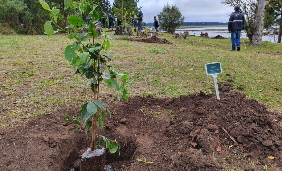 IAT é finalista de dois prêmios nacionais com o projeto Parques Paraná e o App Paraná Mais Verde