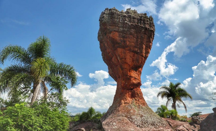 IAT é finalista de dois prêmios nacionais com o projeto Parques Paraná e o App Paraná Mais Verde