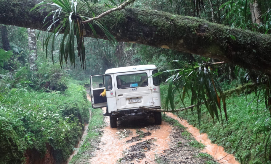 IAT PARQUES FECHADOS